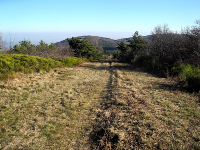 Au sommet du Cret de Longes