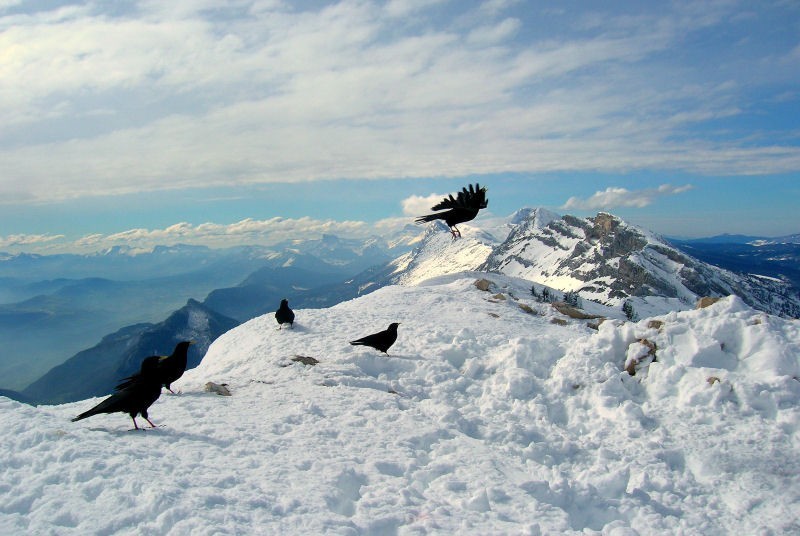 Au sommet du Pic Saint-Michel