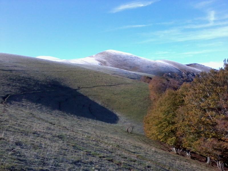 Au sortir de la longue errance en sous-bois