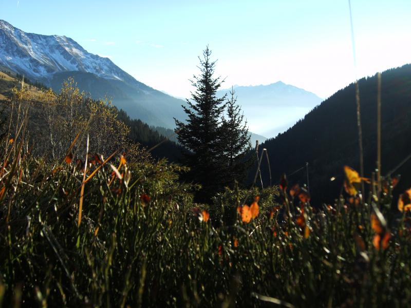 Automne