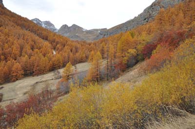 Aux environs des Combes.