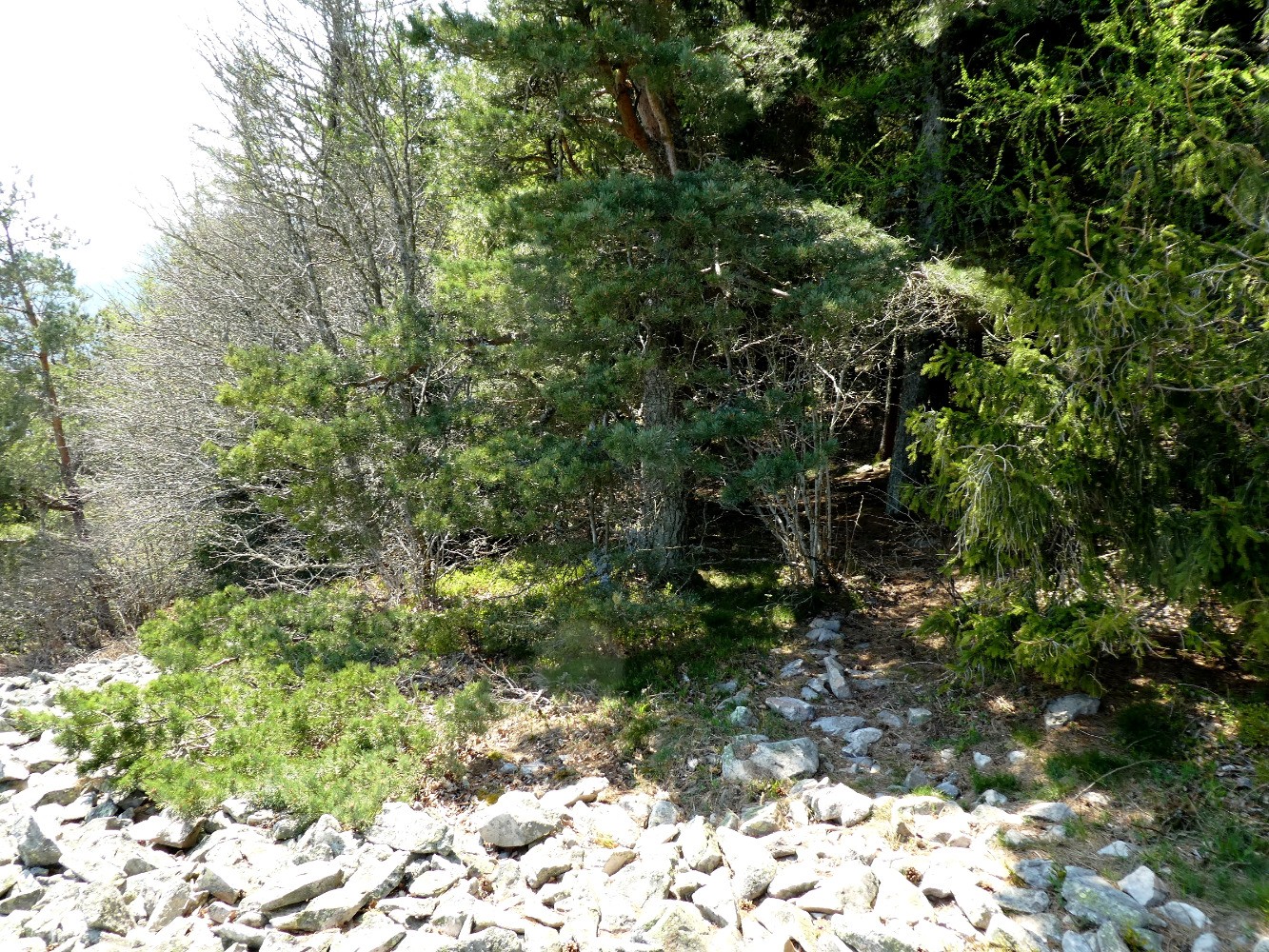 Ã  droite, dÃ©part du sentier de descente