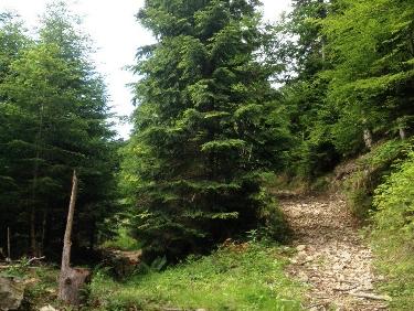 Ã  gauche la trace Ã  ne pas louper, au-dessus de la Scie Granjean