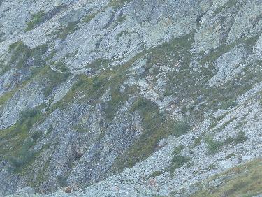 A partir de l'Alpette