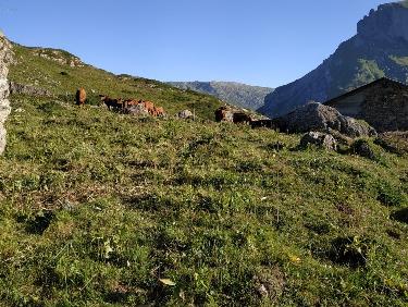 ça transpire à l&apos;Arpire