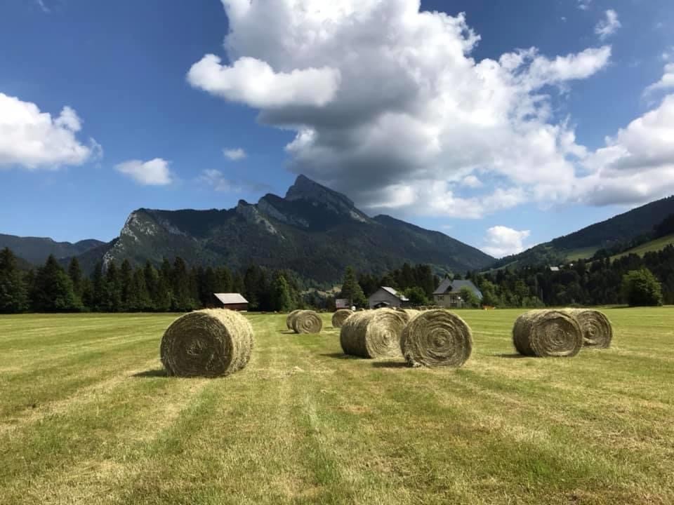 A846A3BF-CEAF-4146-A971-A370DB5A5194.