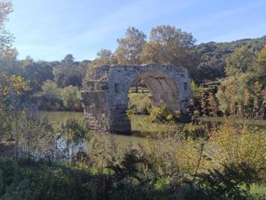 Entraînement Veni Vici