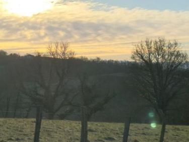 Marche matinale à  la fraîche