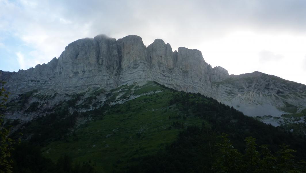 à l'ombre