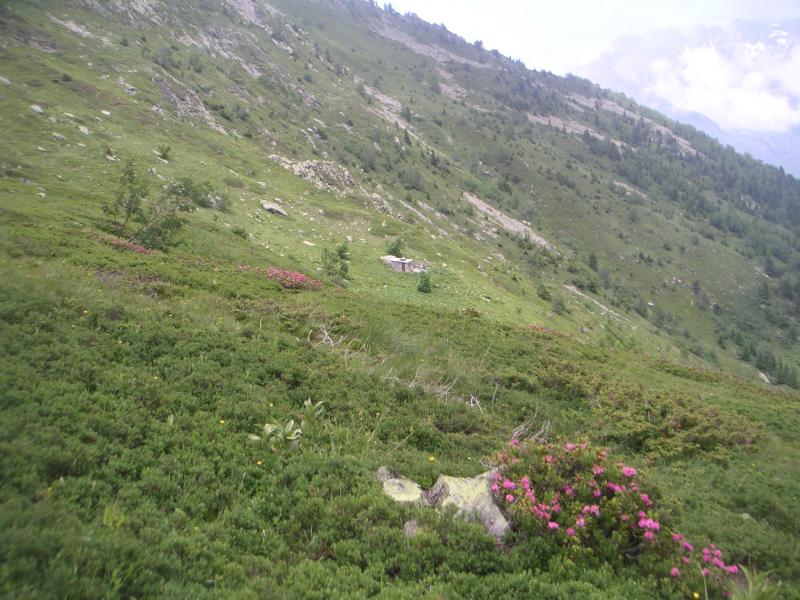à la descente, cabane au soleil