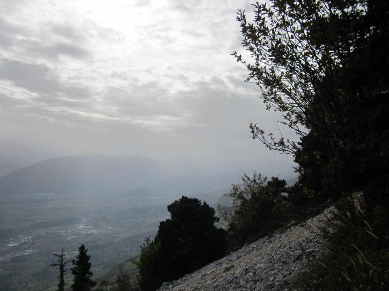 à la limite des grisailles du sud