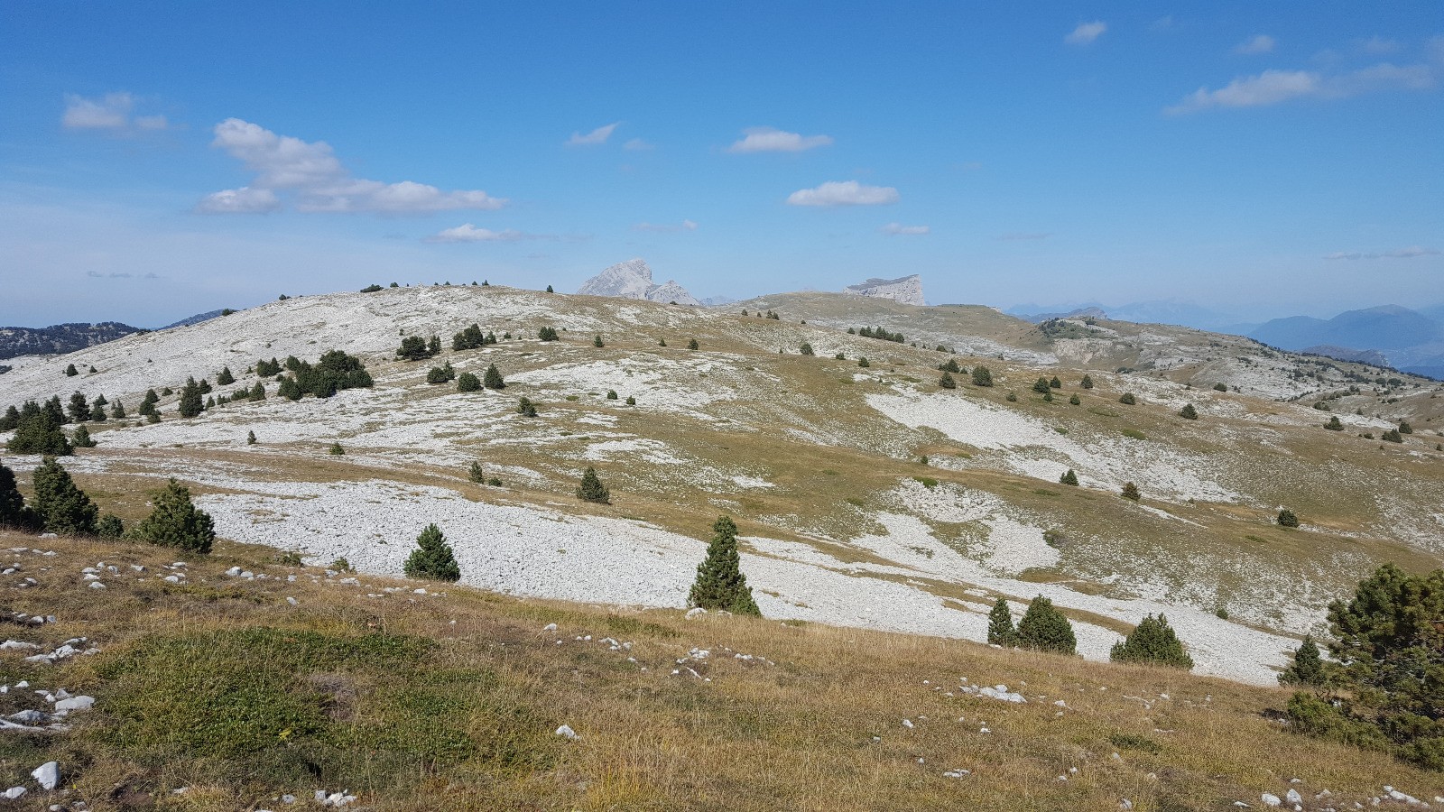 A la recherche du Gypaete