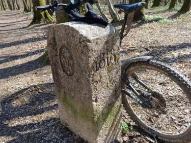 Beau single le long de la Versoix et me nt Morex