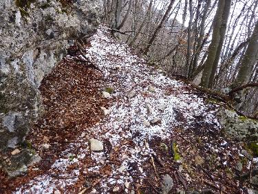 Abri de chasseurs...???