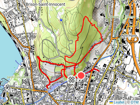 Afternoon Trail Run