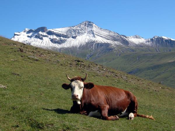 aiguille du Goleon