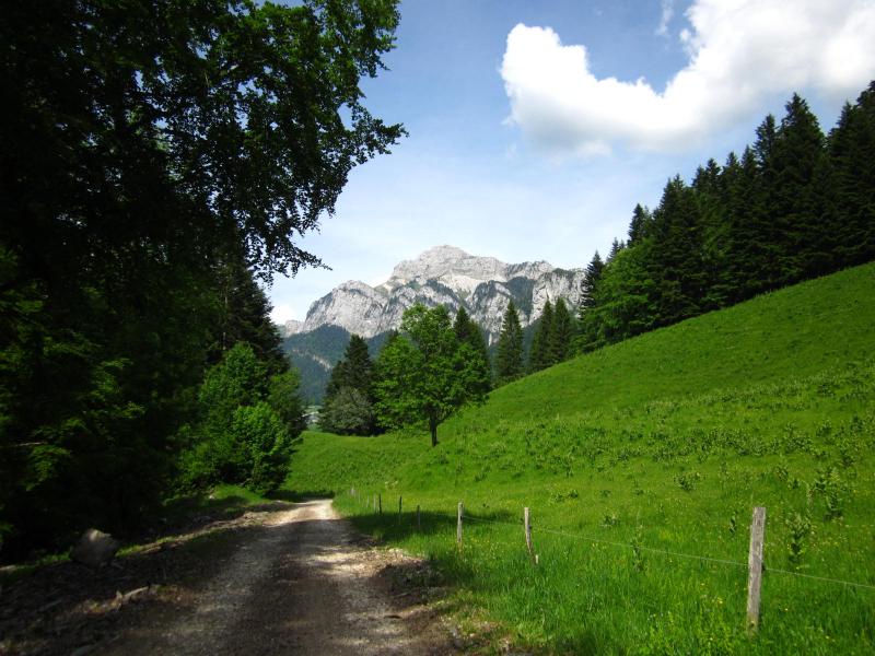 allez, plus que la route pour terminer!