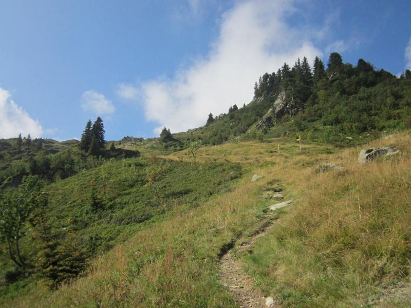 alpage des Combettes