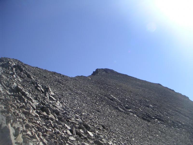 antécime