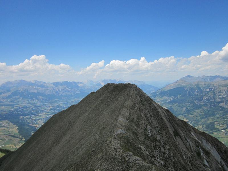 antécime