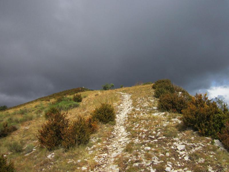 antécime