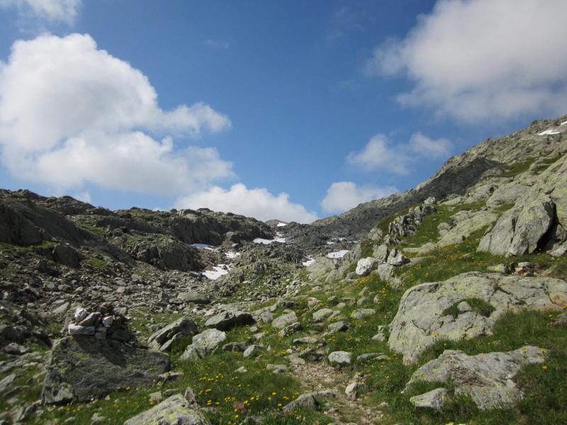 antécime en ligne de mire