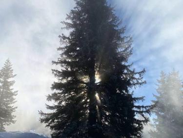 Apparition fantomatique