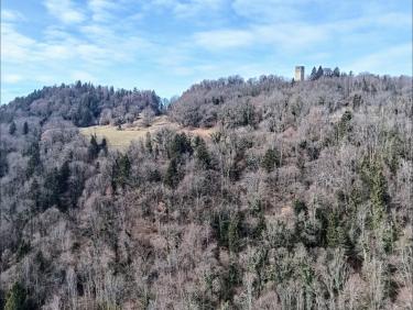 Après la fin du monde