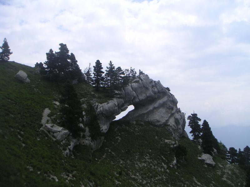 arche