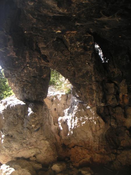 arche