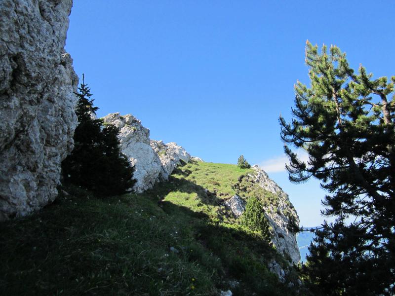 arrivée