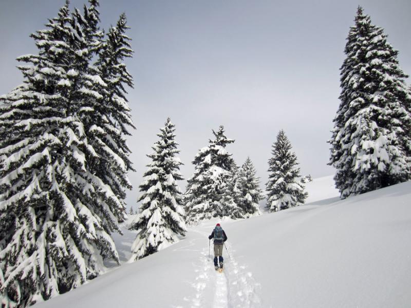arrivée à l'alpage du Pravouta