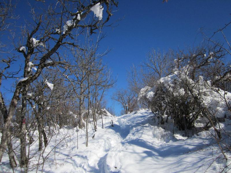 arrivée au sommet