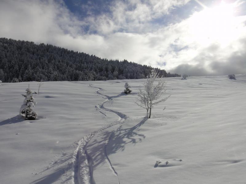 arrivée dans la prairie au téléski