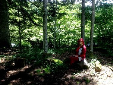 au bord de la tourbiÃ¨re