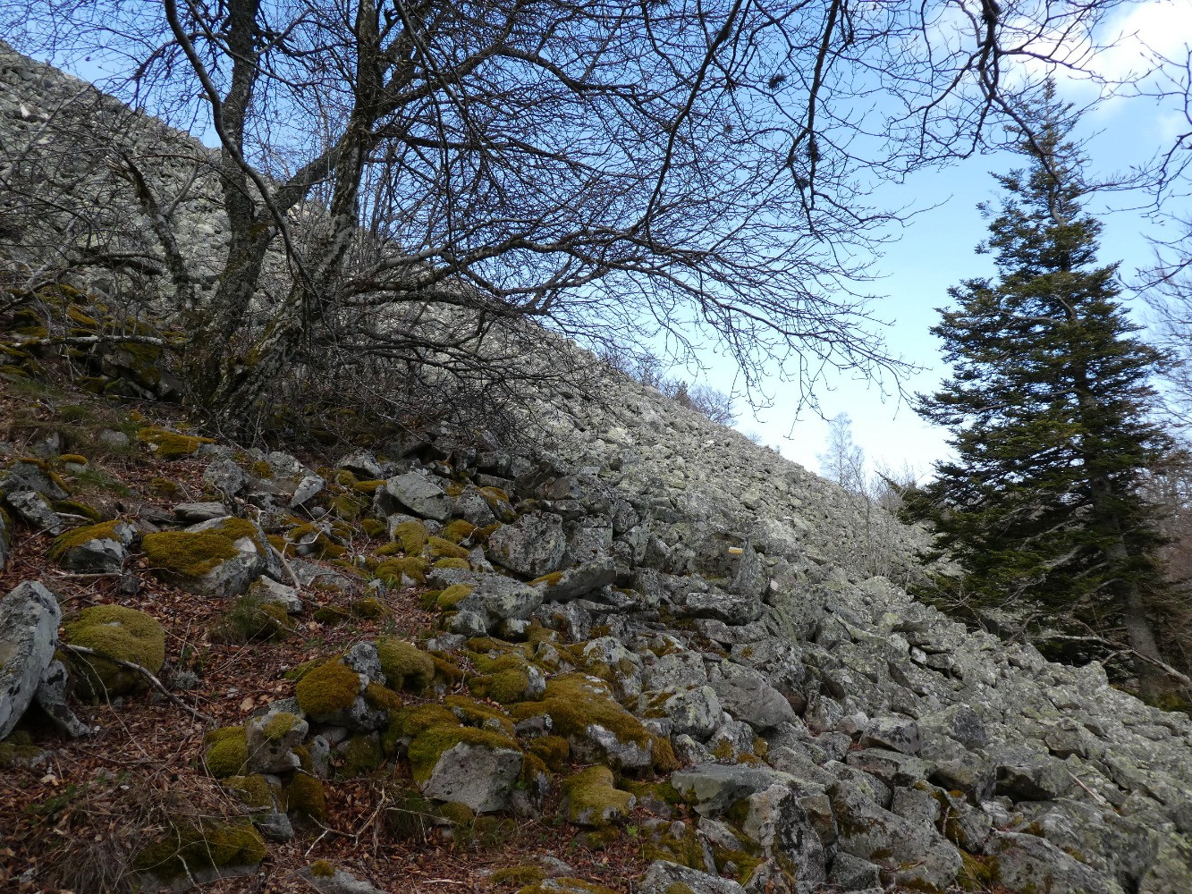 Au bord du Chirat Rochat