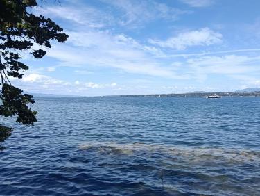 Au bord du lac 