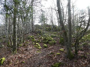 Au bout, le vrai sommet du Gerbizon