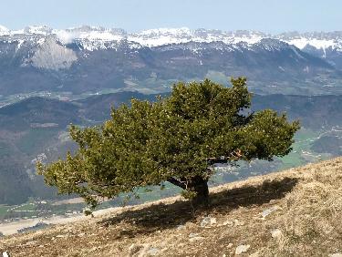 Au coeur de la Matheysine 