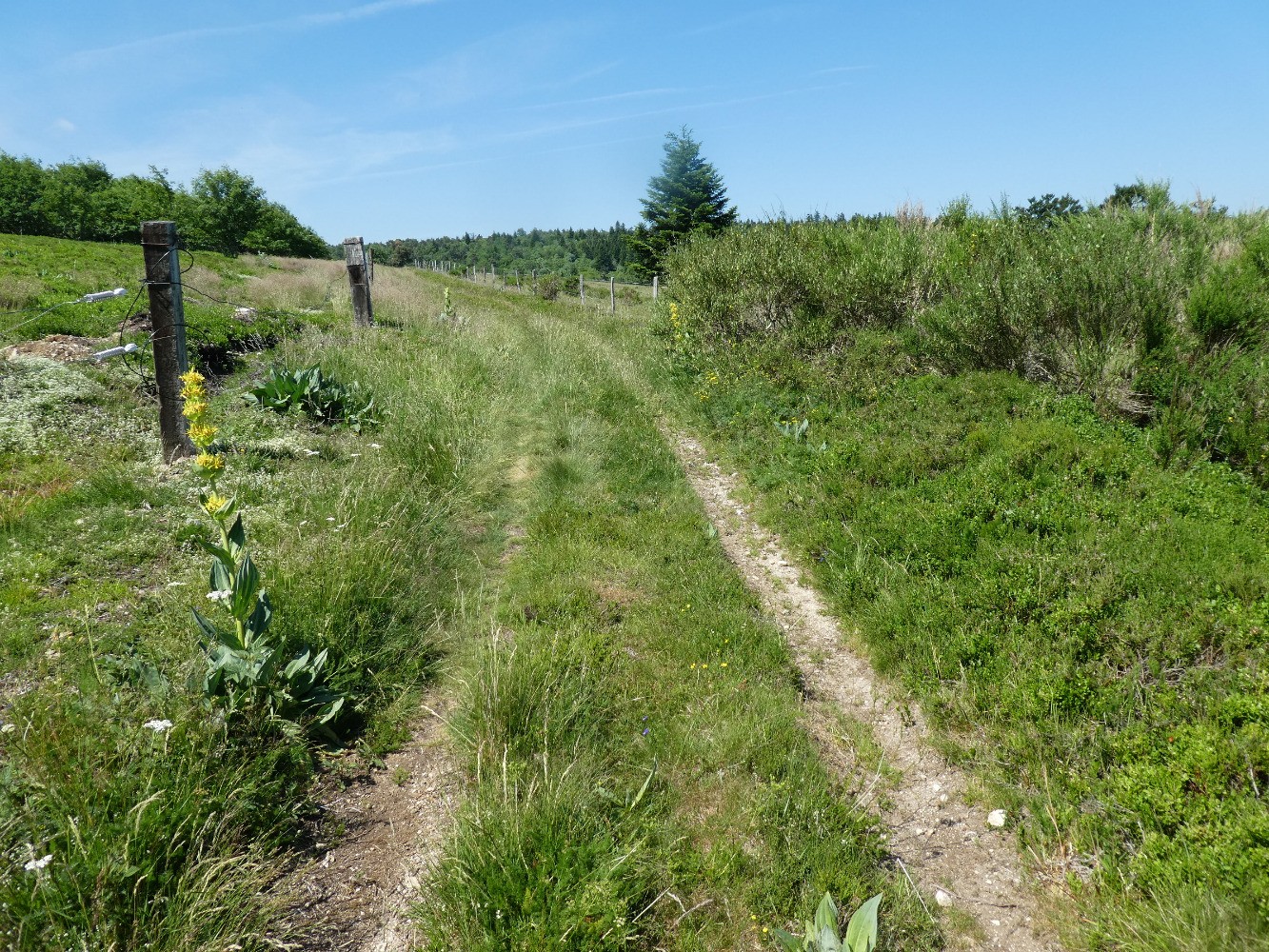 Au dÃ©bouchÃ© vers le Fossat 
