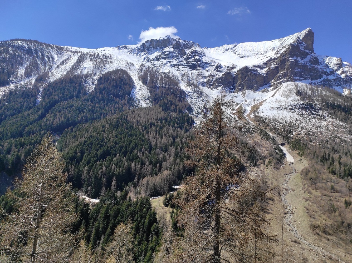 au dÃ©but de la montÃ©e : vers la tÃªte de Soleil-Boeuf et le Pelve