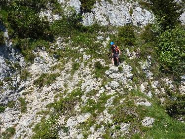 Au delÃ  du "carrefour", descente vers la strate supÃ©rieure