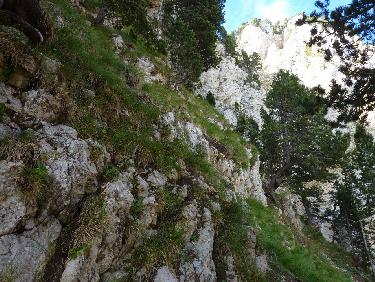 Au dÃ©part de la partie raide