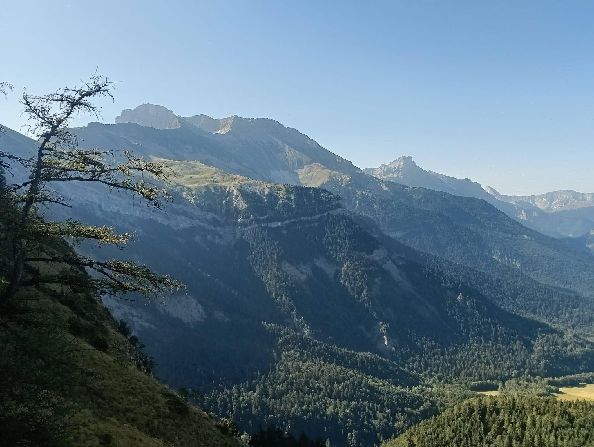 Au dessus des bois