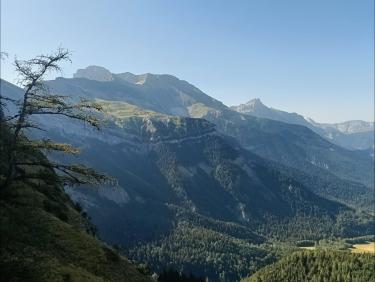 Au dessus des bois