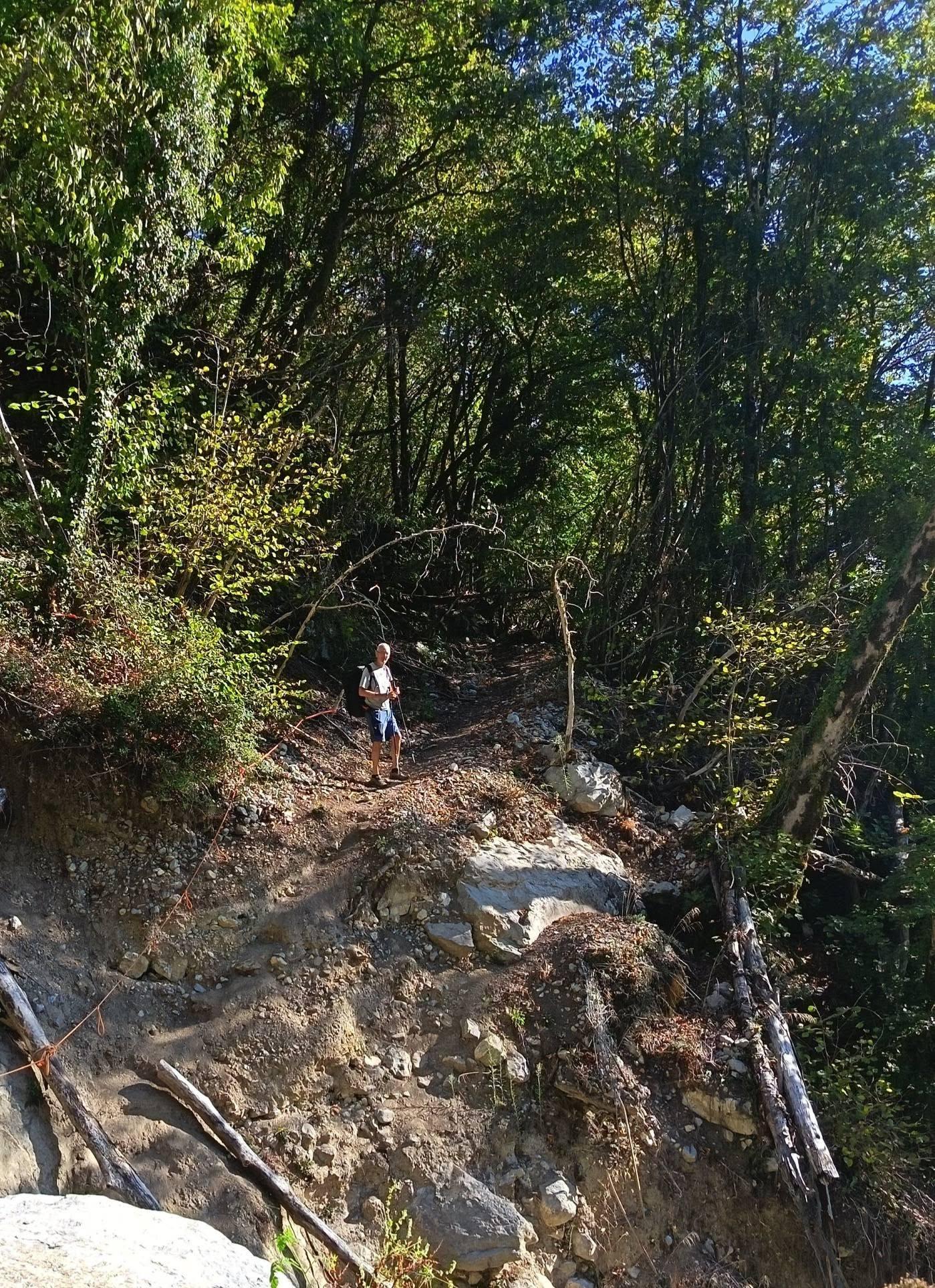 Au dessus du ruisseau