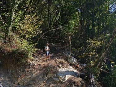 Au dessus du ruisseau