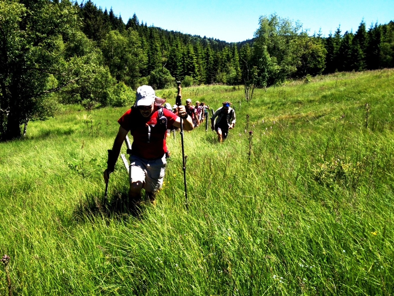 Au fond de la vallÃ©e des Reblats