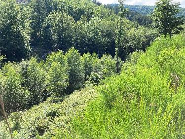 LÃ  au fond coule le Ban...