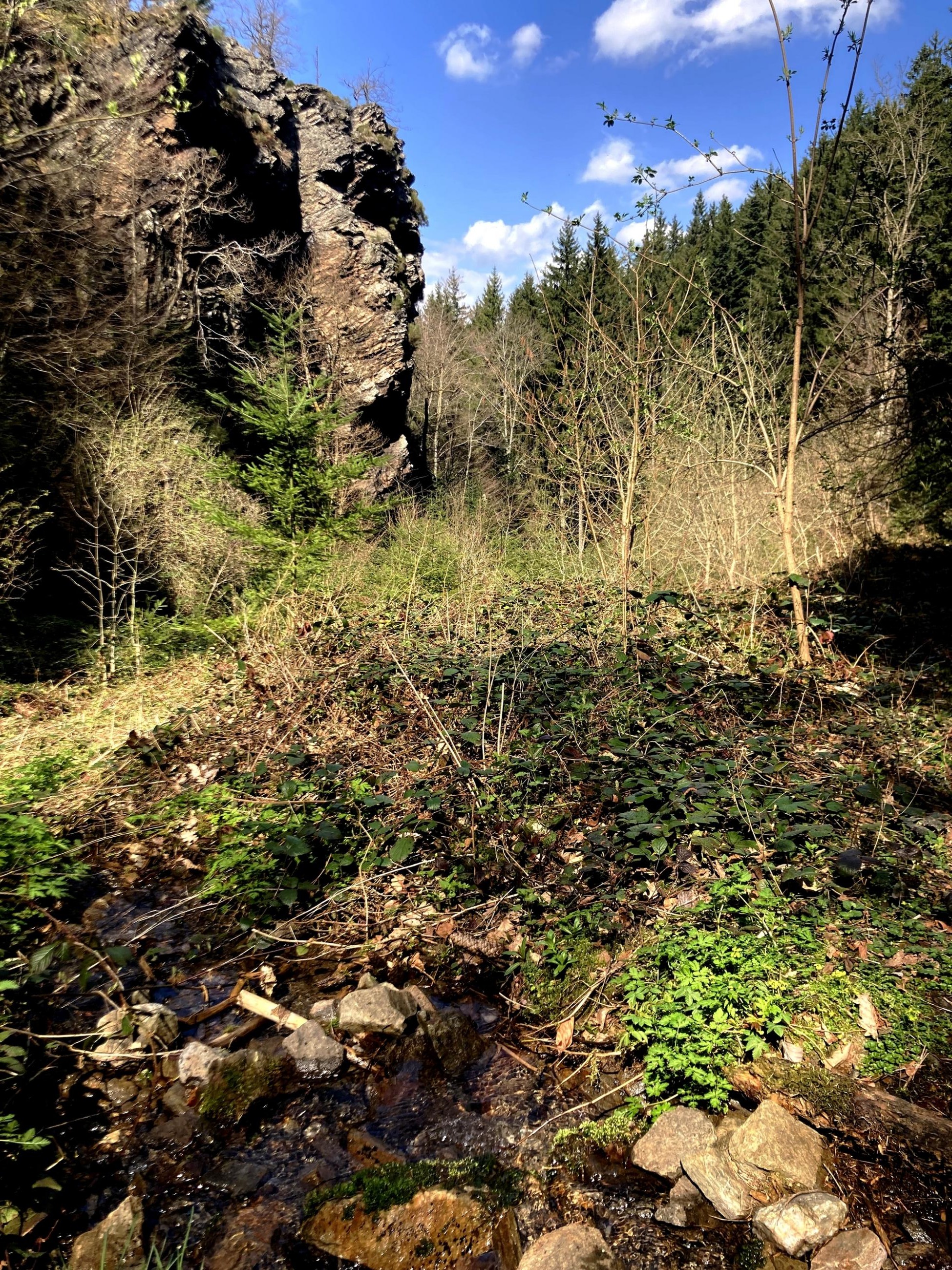 ruisselet et piton rocheux